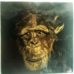 hope-grisaille-dor-laureate-aaf-vickyvanlerberghe hope grisaille d'or laureate 2023 Ateliers d'Art de France Région Bretagne vicky vanlerberghe